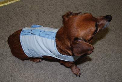 DIY Recycled Flannel Harness
