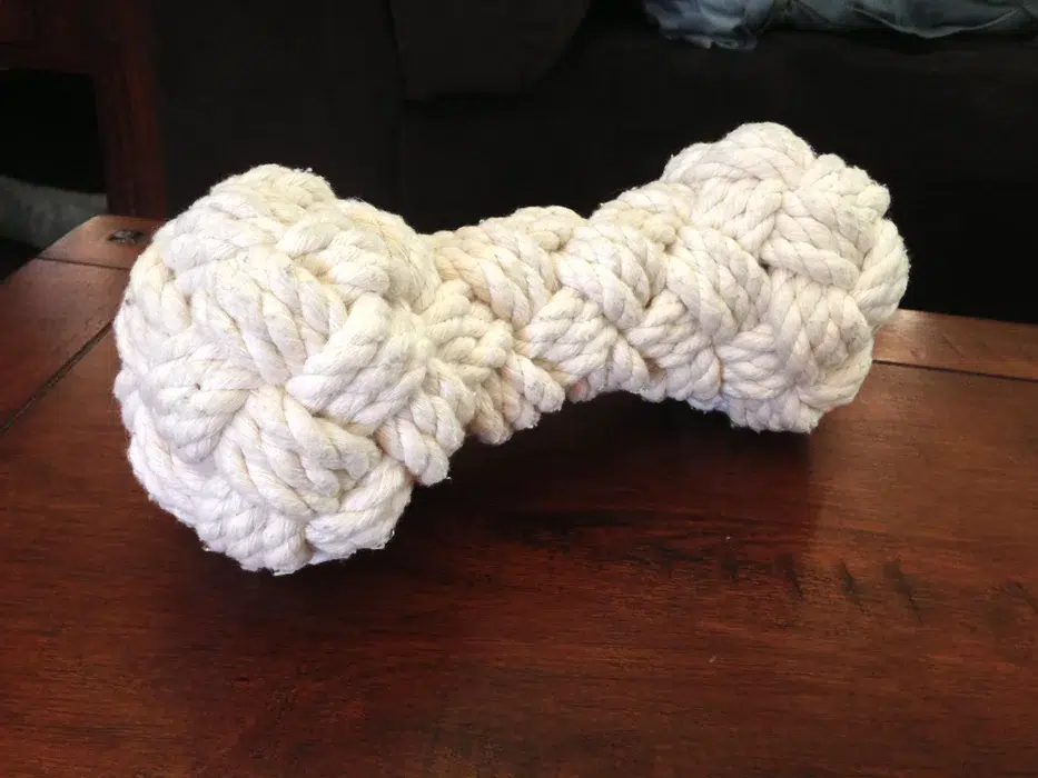 DIY Rope Bone Dog Toy