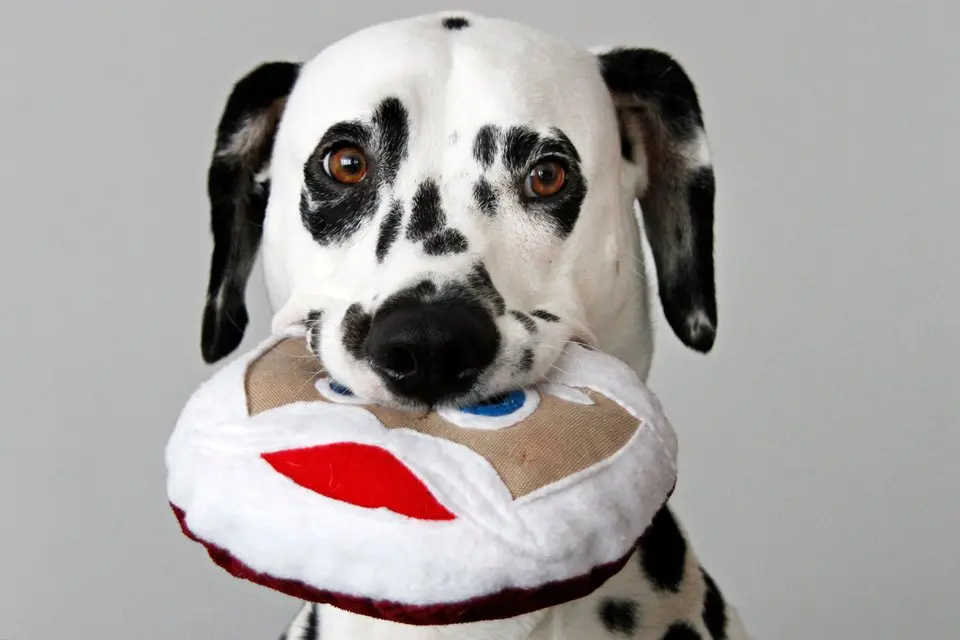 DIY Squeaky Santa Toy