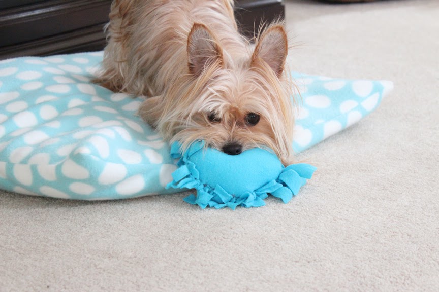 DIY Valentine’s Dog Toy