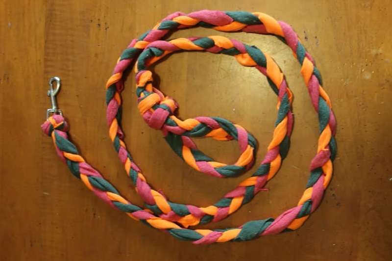 DIY dog leash