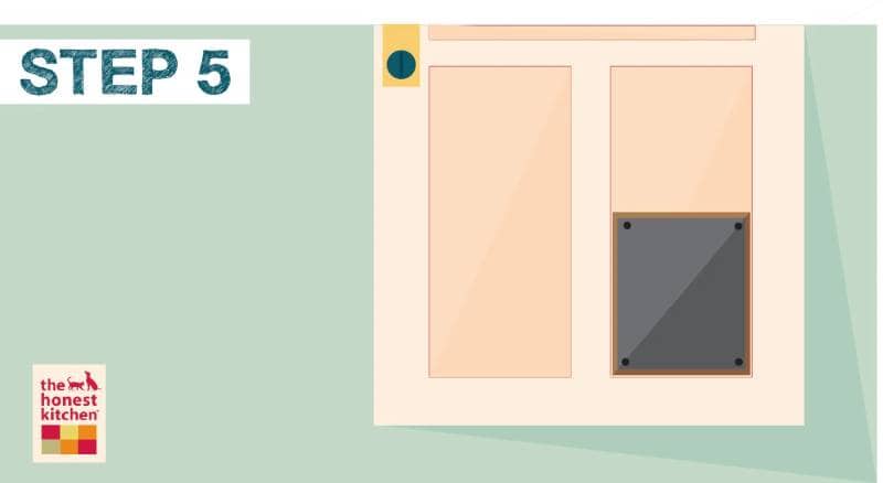 DIY design your own dog door