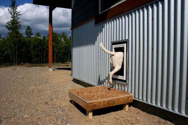 DIY dog door