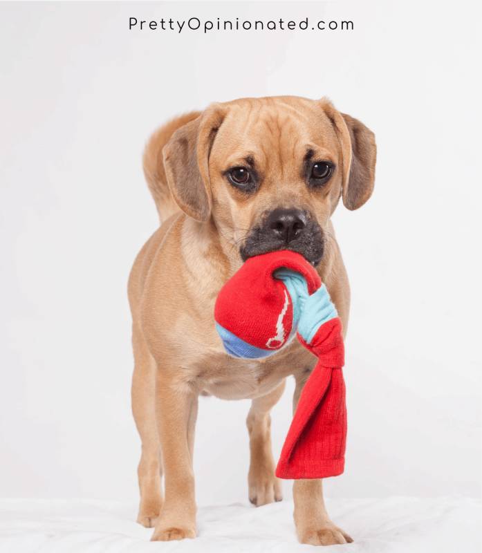 DIY squeaky toy