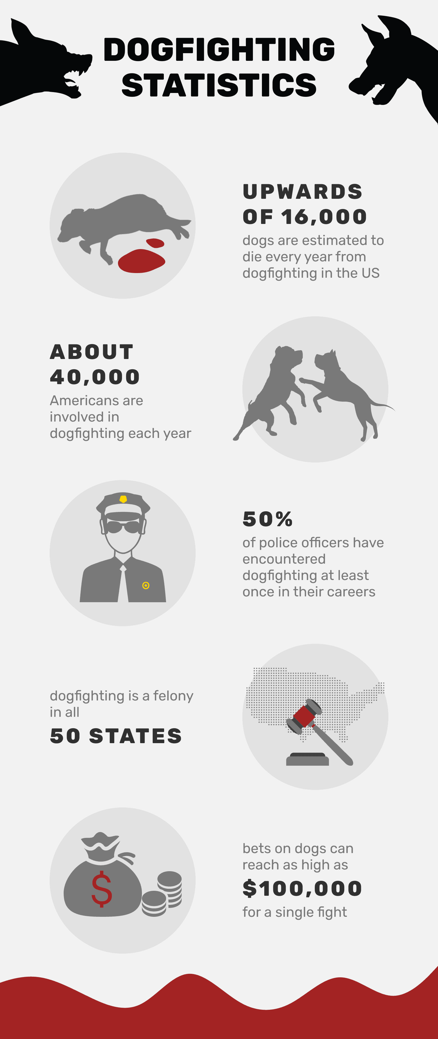 us dog fighting stats