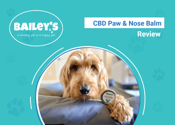 DOG_SAPR_Baileys CBD Paw & Nose Balm