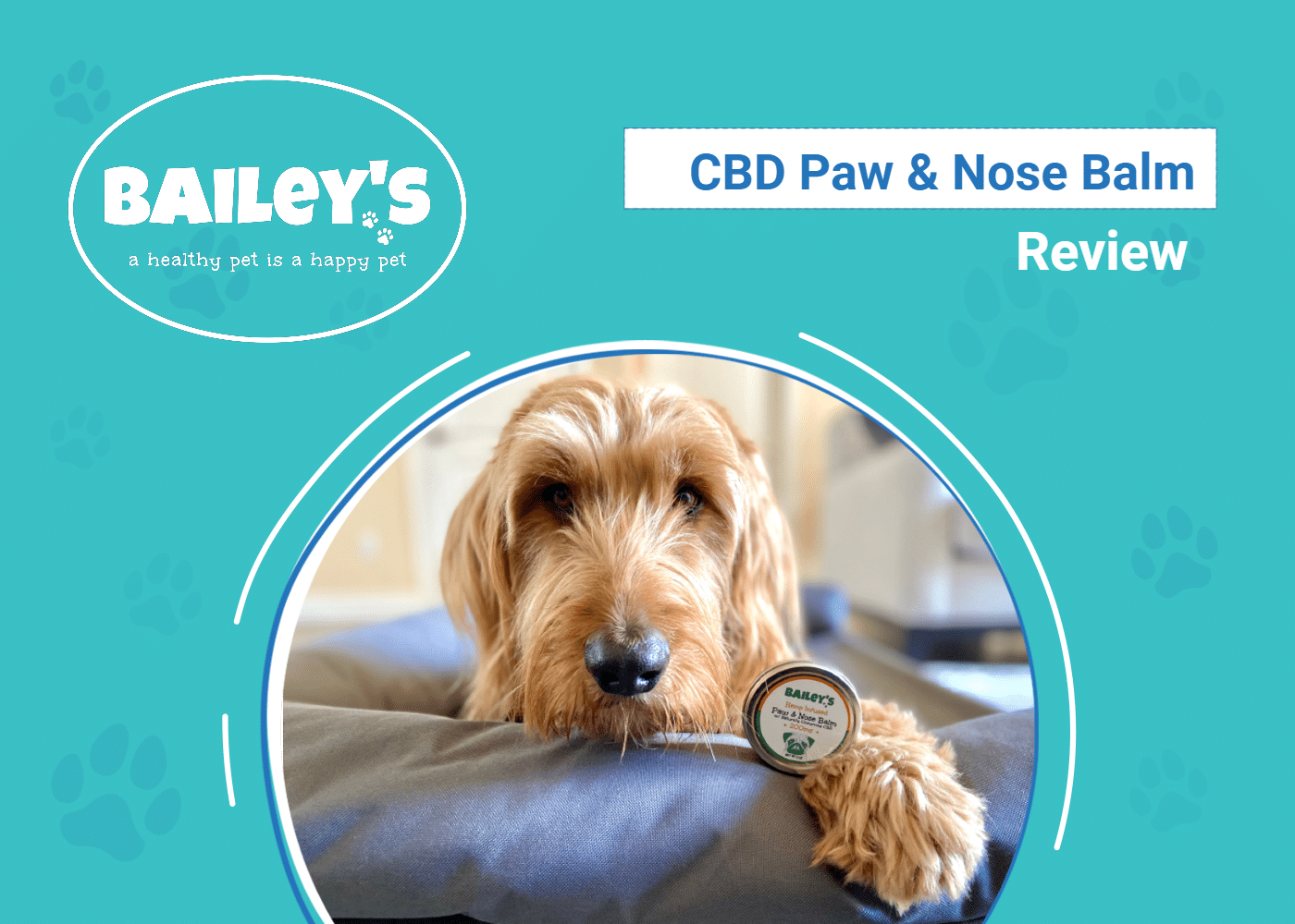 DOG_SAPR_Baileys CBD Paw & Nose Balm