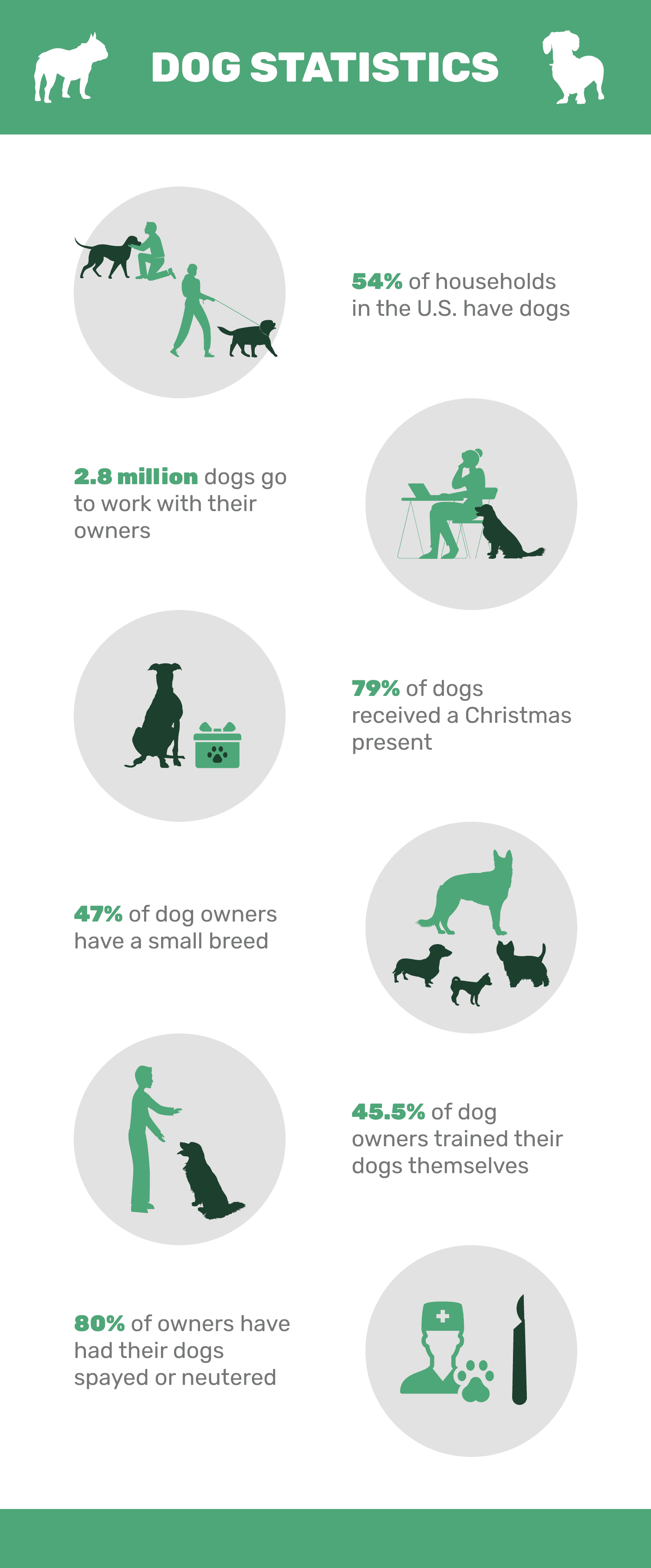 DOG STATISTICS 2021