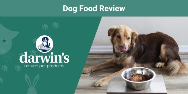 Darwins-Natural-Selections-Dog-Food-Review-Custom-ft-image