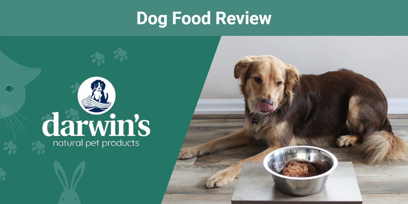 Darwin’s Natural Selections Dog Food Review 2024 An Expert's Breakdown