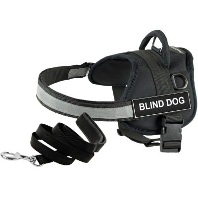 Dean and Tyler Blind Dog Harness & Leash