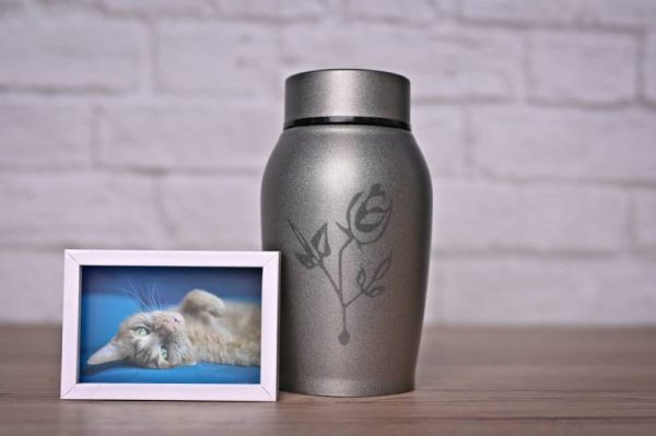 Decorative urn next to a photograph of the pet on the table
