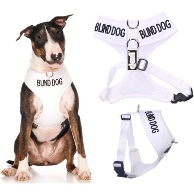 Dexil Blind Dog Harness