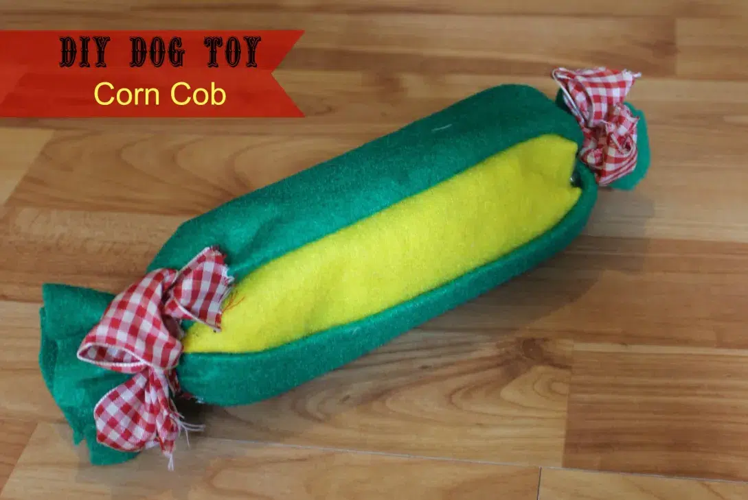 DIY Water Bottle Dog Toy