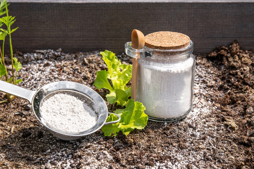 Diatomaceous earth