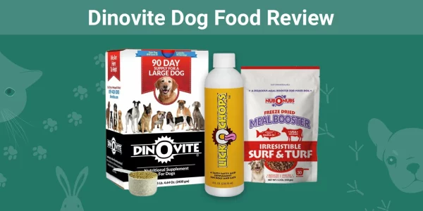 Dinovite Dog Food - Featured Image