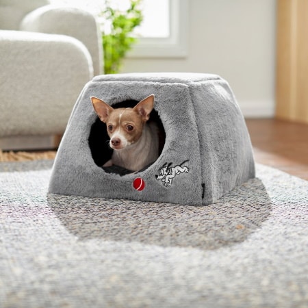Disney Pluto Covered Cat & Dog Bed