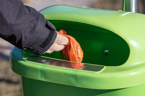 Disposing dog poop