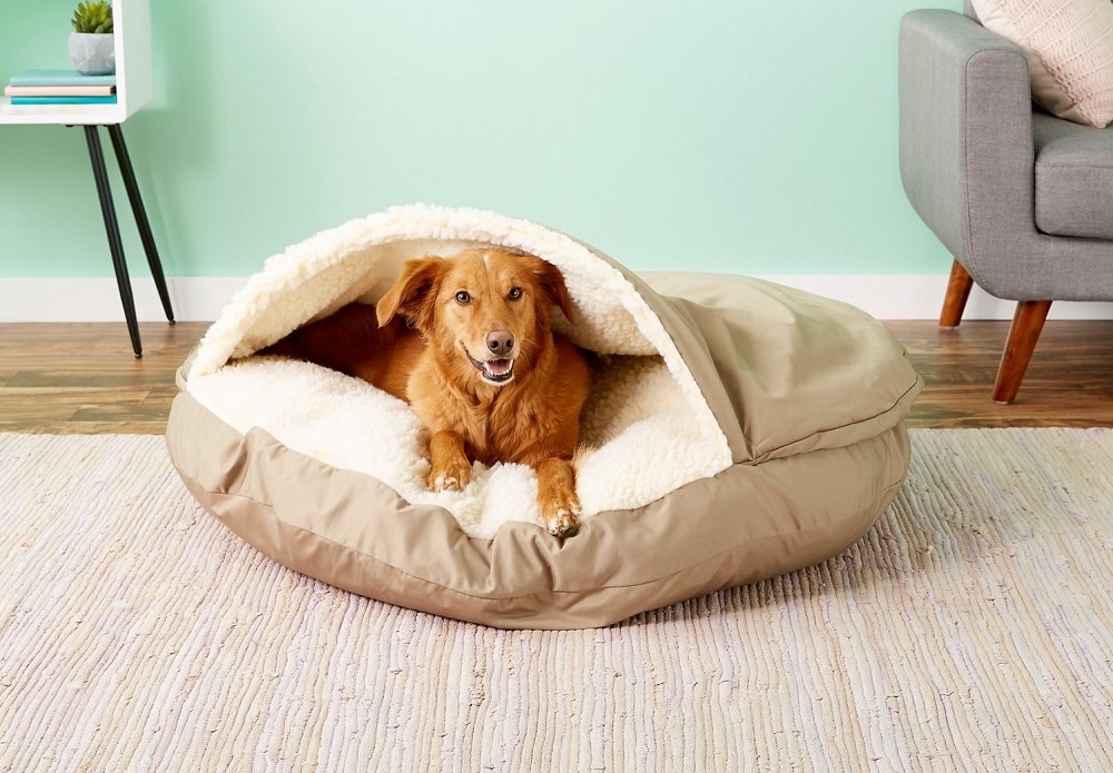 Dog Cave