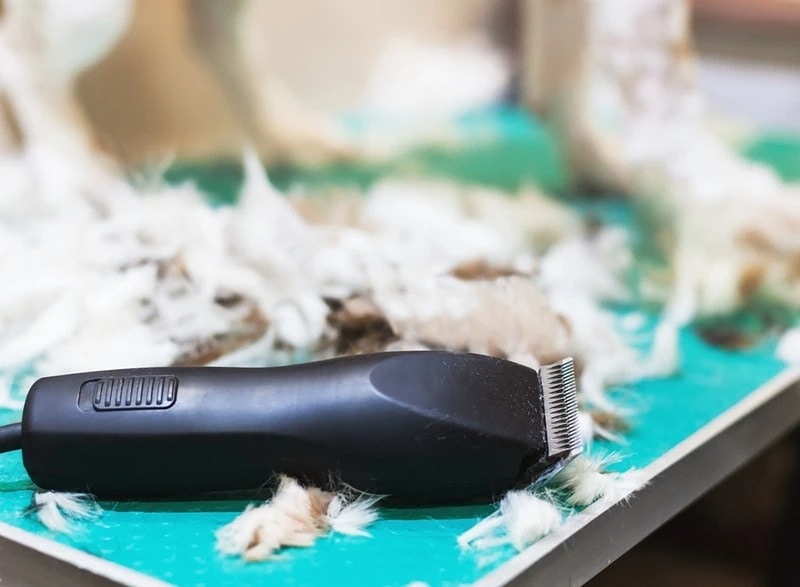 Dog Hair Clipper