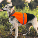 Dog Hunting Vest Blaze Orange