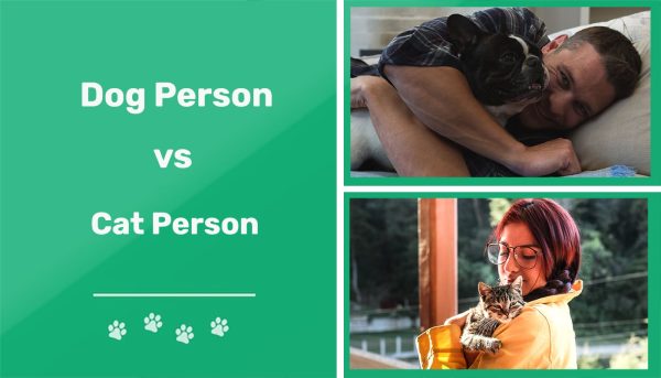 Dog Person vs Cat Person
