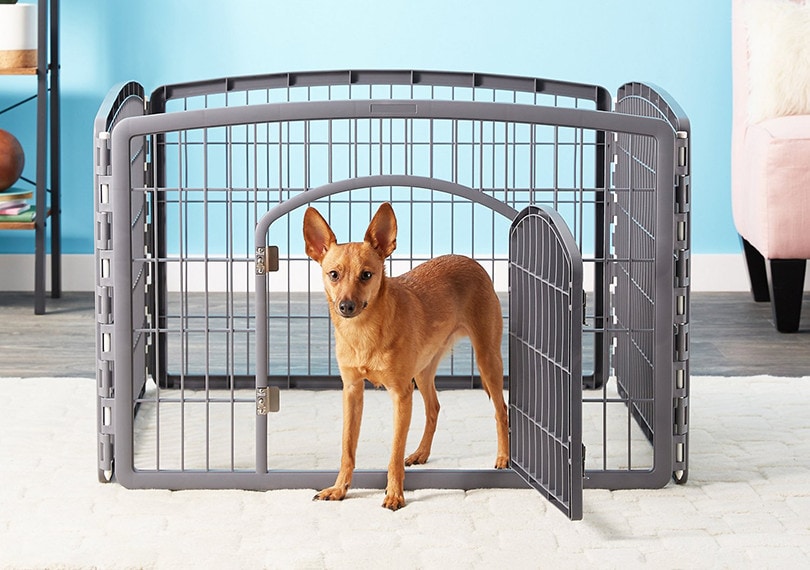 Dog Playpen