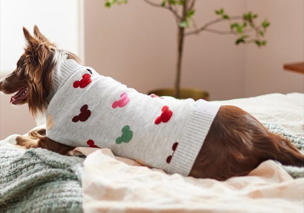 Dog Sweater