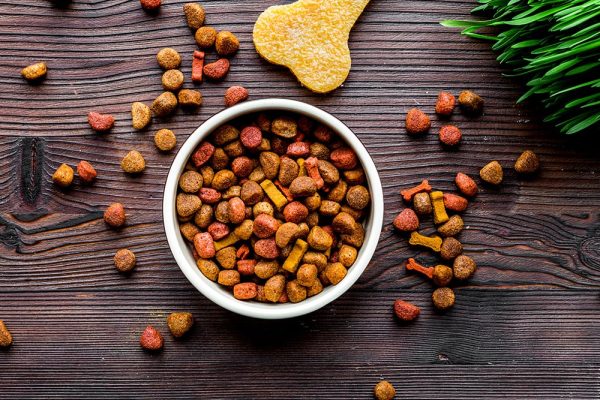 Dog food in a bowl