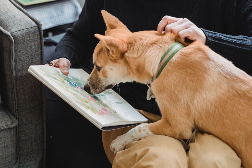 Dog licking a wet painting on paper