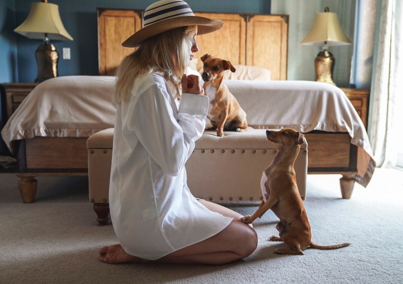 Dog owner_Piqsels