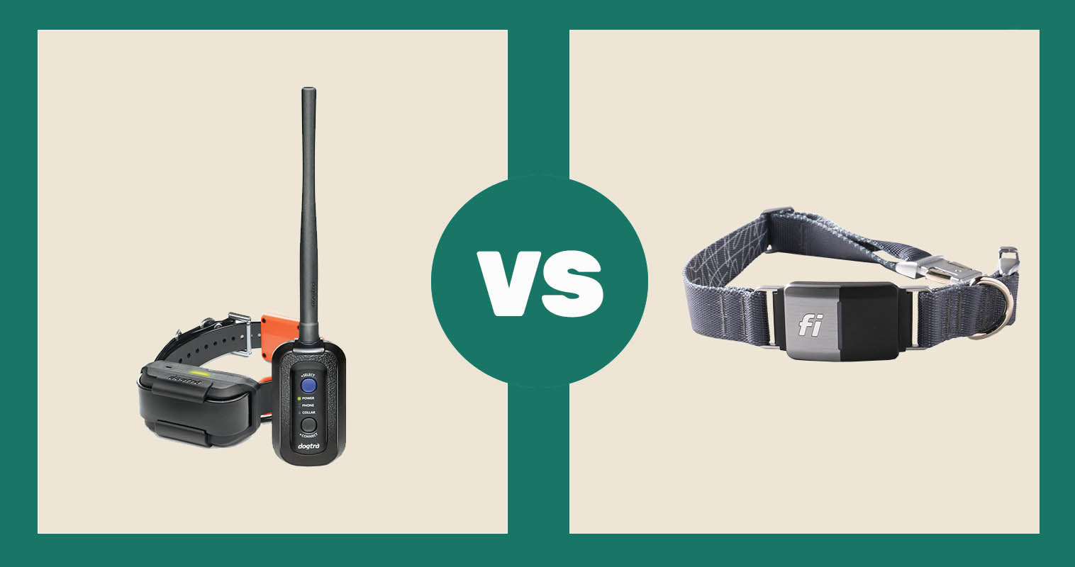 Dogtra PATHFINDER TRX GPS Tracking Collar vs Fi Dog Collar