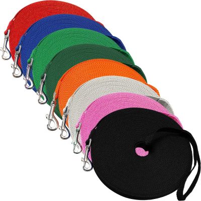 Downtown Pet Supply Dog Lead