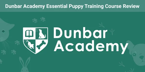 Dunbar Academy Essential Puppy Training Course - Featured Image