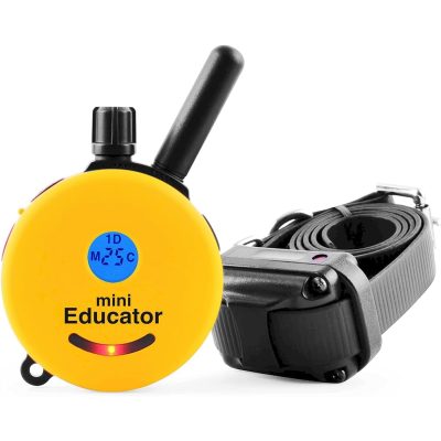 Educator By E-Collar