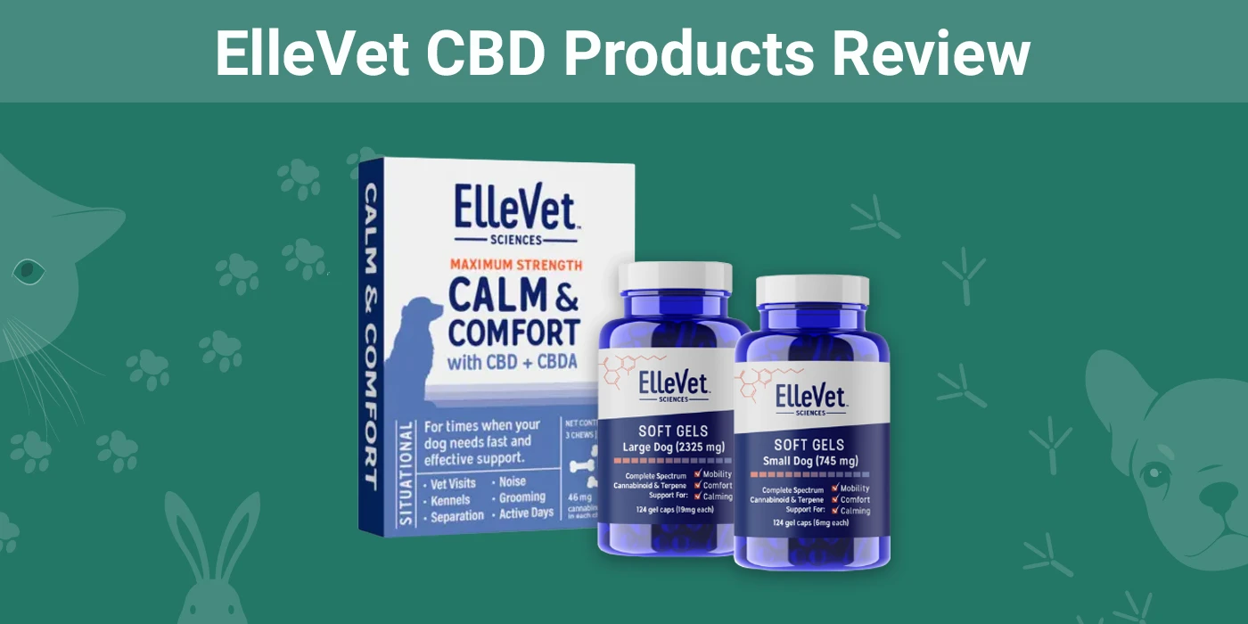 ElleVet CBD Products - Featured Image