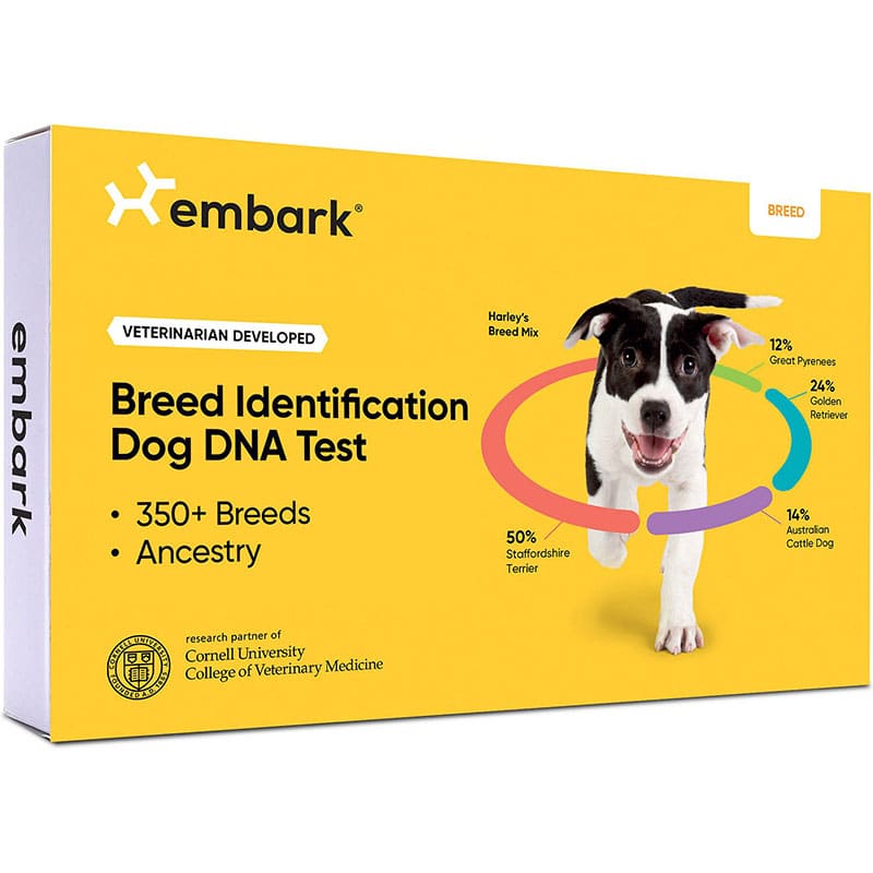 Embarks Health and Breed Identification Kit