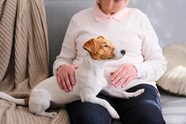 Emotional support dog with an elderly woman