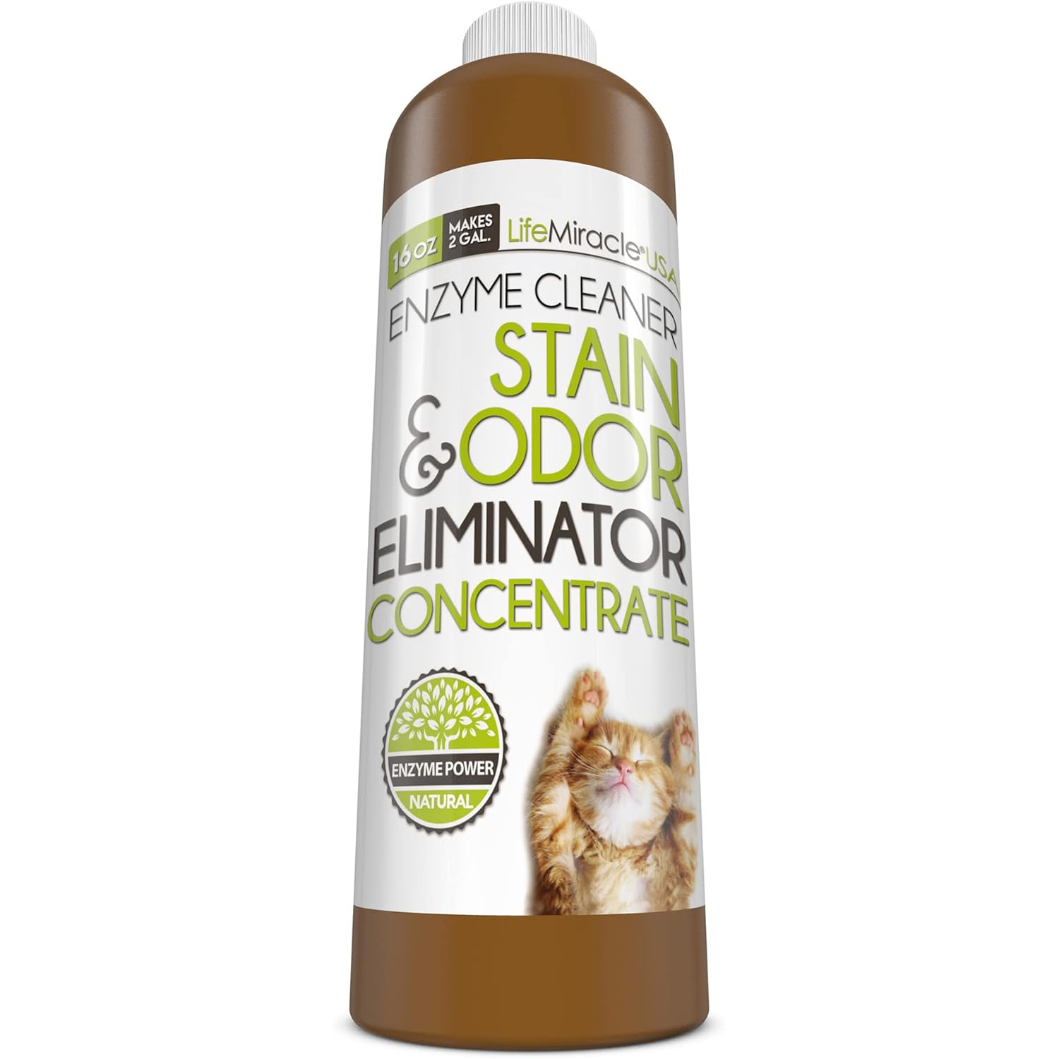 Enzyme Cleaner & Pet Odor Eliminator Concentrate