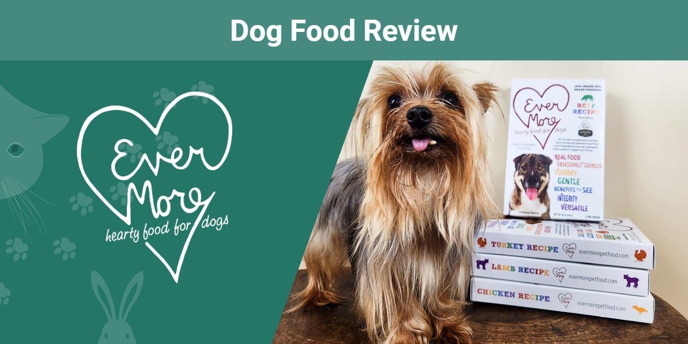 Evermore Dog Food Review 2024 Pros, Cons & Verdict An Expert's