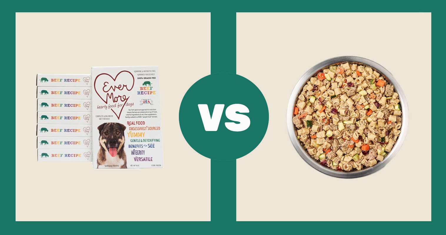 Evermore vs Just for Dogs