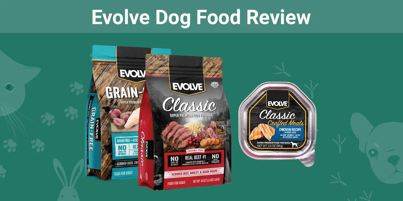Evolve Dog Food Review 2024 Recalls, Pros & Cons Dogster