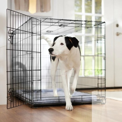 FRISCO Fold & Carry Single Door Collapsible Wire Dog Crate, X-Large