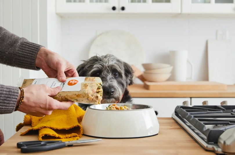 Farmer's Dog Food