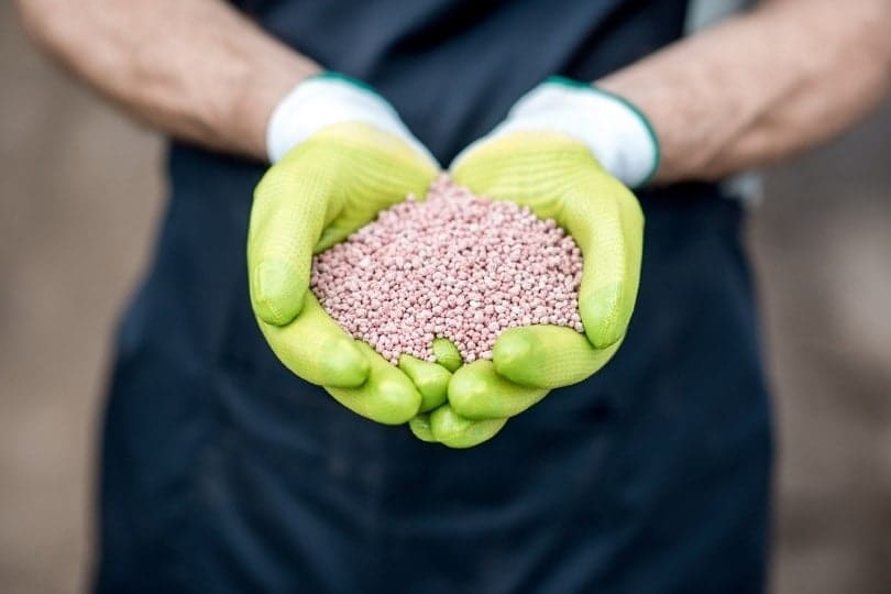Farmers hands holding mineral fertilizers