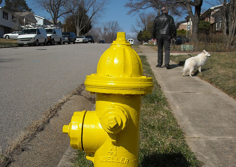 Fire Hydrant