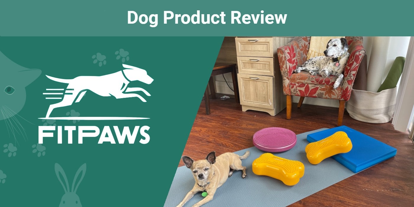 FitPaws Dog Training Products Review 2024 Pros, Cons & Verdict An