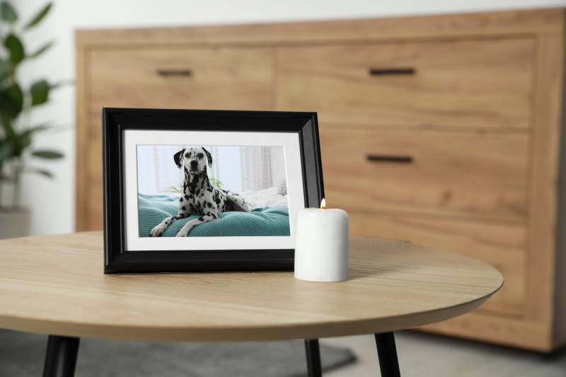 Frame with picture of dog and burning candle on wooden table indoors