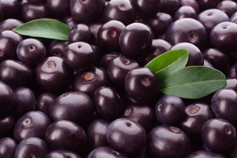 Fresh ripe acai berries as background