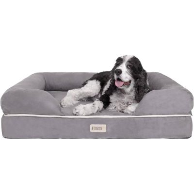 Friends Forever Orthopedic Dog Lounge